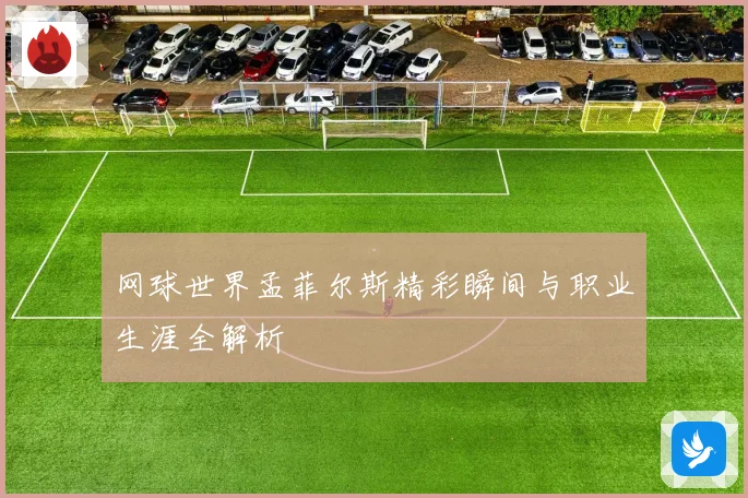 网球世界孟菲尔斯精彩瞬间与职业生涯全解析